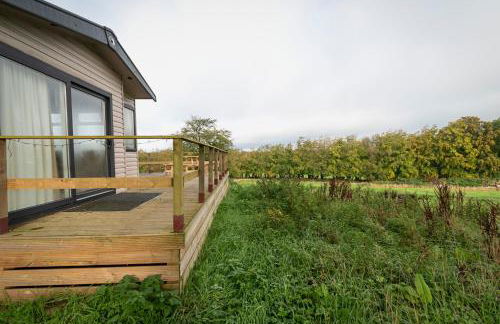 Pirnie Lodge Holiday Lets - Foto 27