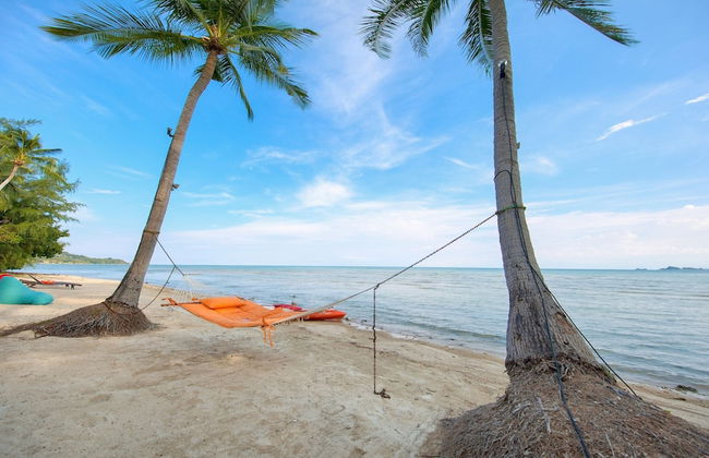 La Lagune - Photo 18