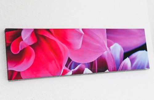 Hof Lueck - Photo 61