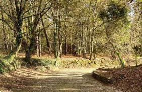 Casa do Fijogo - Foto 21