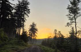 Sowi Przystanek - Foto 22