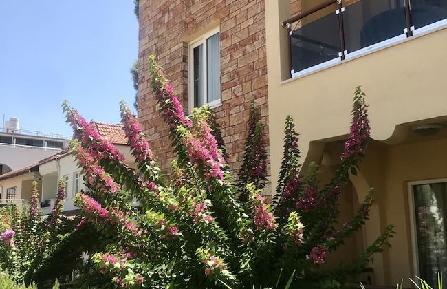 Gozdem Apart 2 - Foto 26