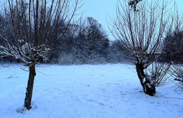 Ferienhaus am Saaler Bodden - Foto 32