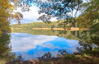 Ferienwohnung Gentsch in Schmannewitz - Foto 52