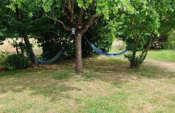 Gîte 4 pers proche cure thermale, Futuroscope, calme et nature à La Roche Posay - Foto 16