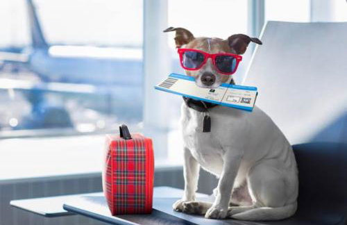 Hotel APART Zuccolotto 2 - Foto 28