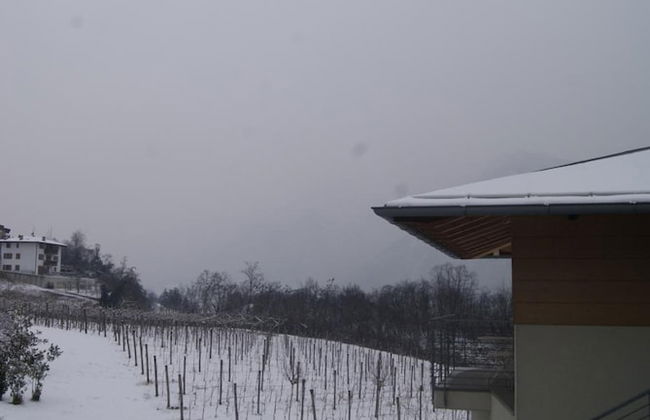 Agritur Ponte Alto - Foto 17