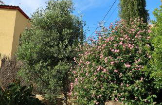 Disfrutar de tu casa con piscina - Foto 50