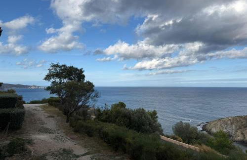 Studio cabine à Banyuls-sur-Mer avec terrasse - FR-1-309-210 - Foto 1