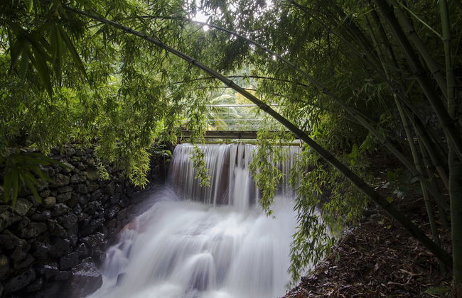 Quinta da Mó - Foto 22