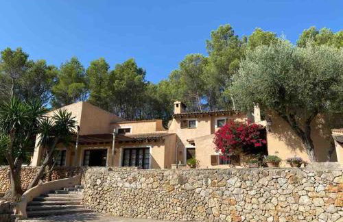 MARAVILLOS FINCA en el centro de la isla - Foto 1