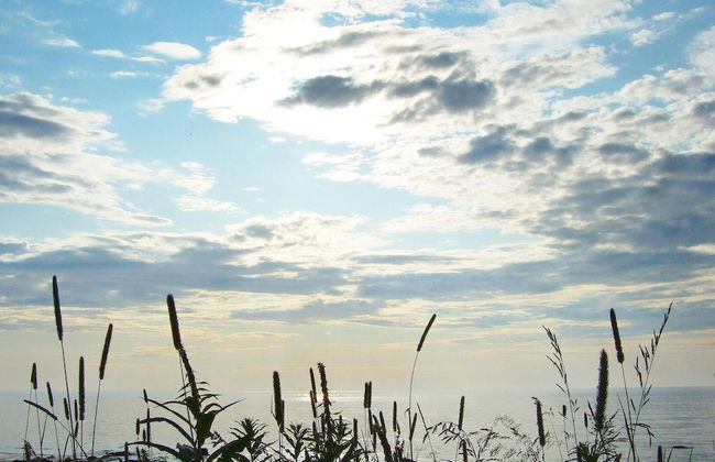 6 Person Holiday Home in Laukvik-by Traum - Foto 14