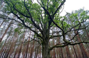 Zakole Brdy - Foto 60