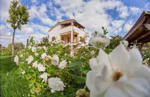 Colle degli ulivi Green Resort - Foto 11