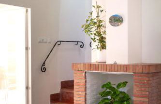 Finca palmers - Photo 18