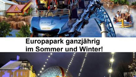 Appartment am Waldmattensee - Foto 3