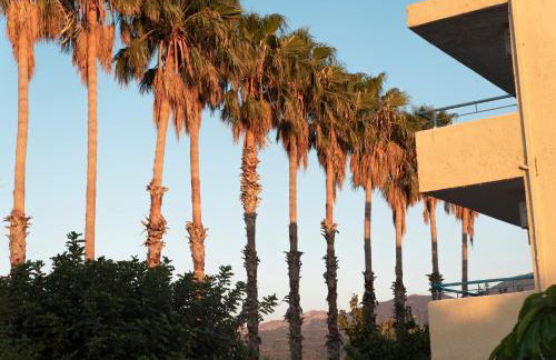 Oasis Apartments - Foto 31