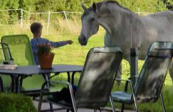 Ferienhaus Winnerthof - Photo 31