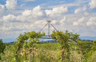 Fattoria la Loggia - Foto 42