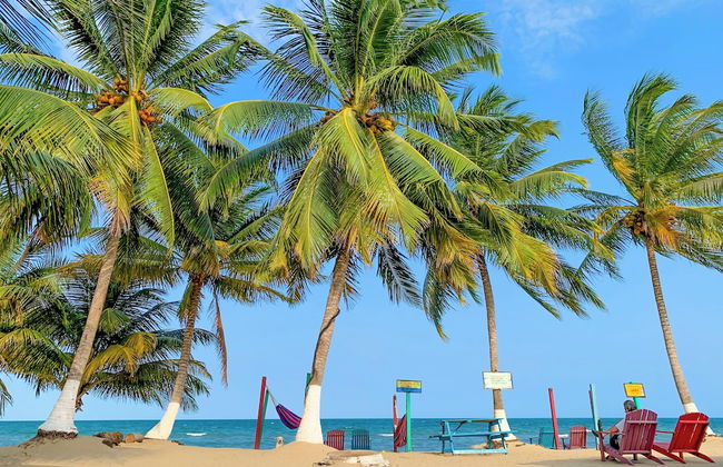 Sandpiper Beach Cabanas - Foto 41