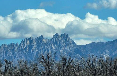 The Ritz Spa Sanctuary hot tub/patio/fam/pet - Foto 8