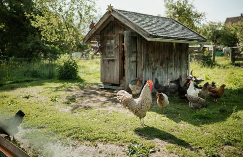 Biohof Dimper - KuhHorn - Foto 24