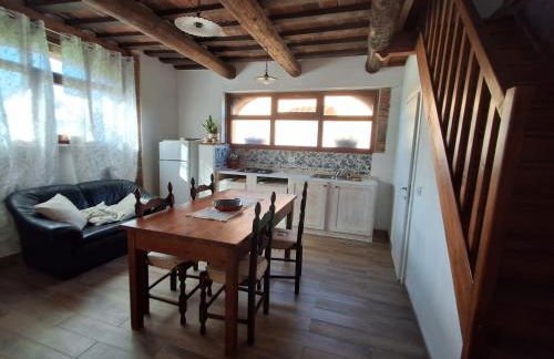 Fattoria Antognoni - Foto 67