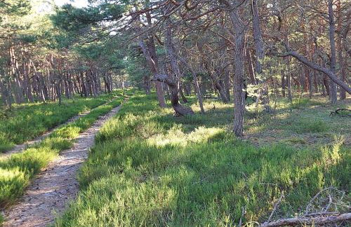 Greyówka dom kryty strzechą w Gardna Park - Foto 32