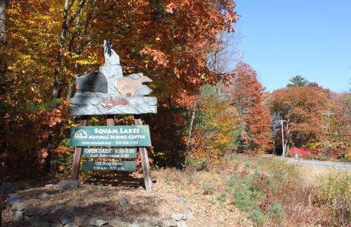 Spacious Private Home in White Mountains-Loon-Owl - Foto 67