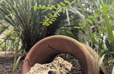 VISTA - Lake & Pool - Foto 32