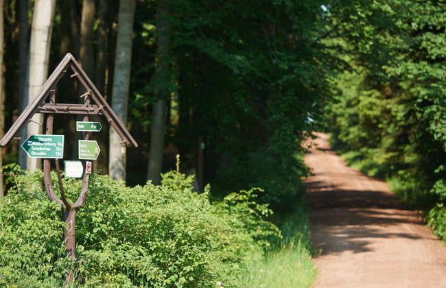 Holiday Apartment Waldfrieden - Photo 21