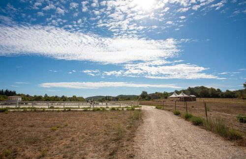 L’oliveraie Écuries Mas di Gau - Foto 35