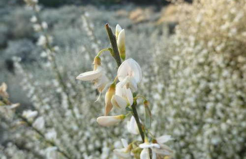 Quinta do Cobral - Foto 65