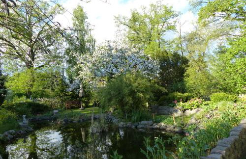 Ferienhaus Kranich - Foto 7