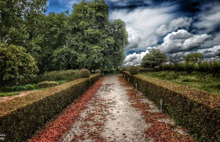 Casa Luís de Camões - Boutique & Literary House - Foto 41