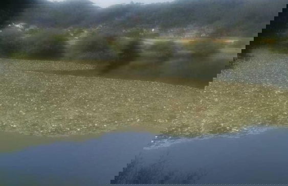 Familiehuis Dolve - Photo 38