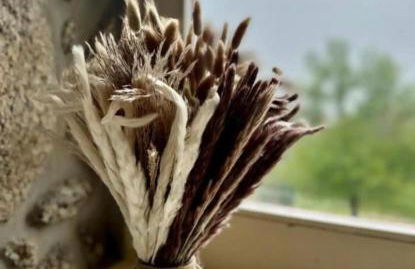 Gerês - Casa da Cabana - Foto 12