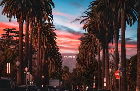 Mid Century With Pool GYM and Parking 10min to Cedars - Photo 49