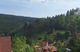 Haus Westharz Hahnenklee - Foto 17