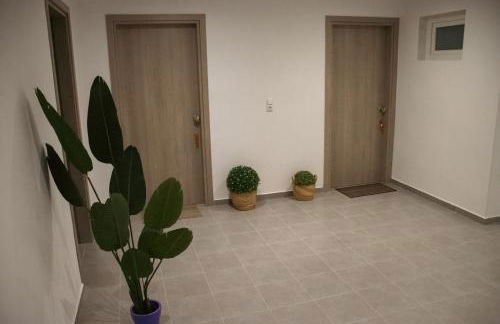 Emily Apartments 3 - Photo 42