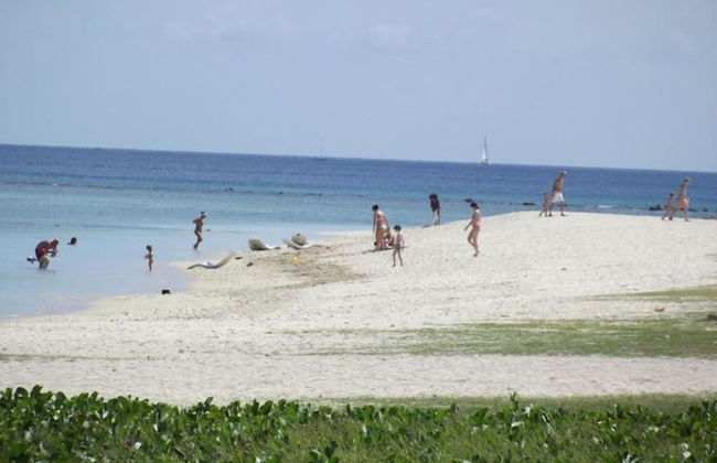 West Front One No 4 With Seafront Beachfront Licensed By Tourism Authority 14977 - Photo 14