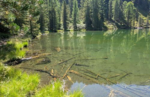 Residence Aichner - Foto 49