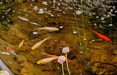 Garage Number 9 Private Urban Loft Apartment with Jacuzzi in Le Dorat - Foto 35