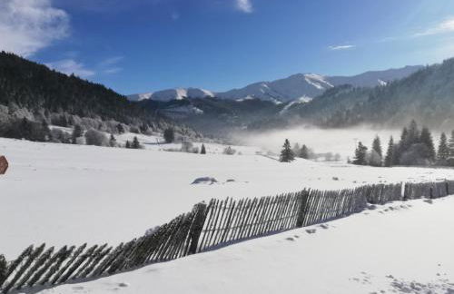 Résidence récente au Lioran à proximité des remontées mécaniques - Photo 46
