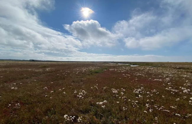 6 Person Holiday Home in Laeso - Foto 14