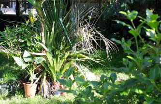 PYLA: Feel-good family home, 2 min walk from beach - Foto 17