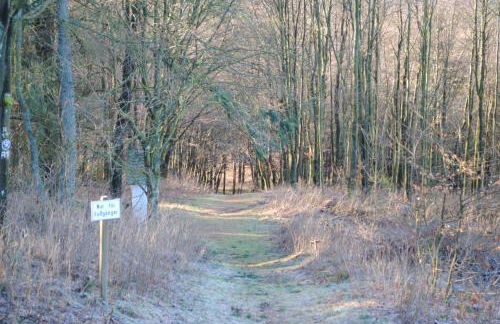 Vakantiehuis Ramsbeck - Foto 38