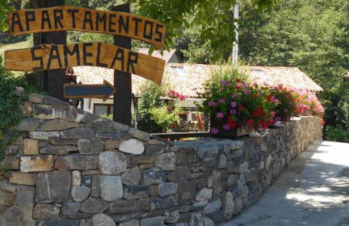 Apartamentos Samelar - Foto 52