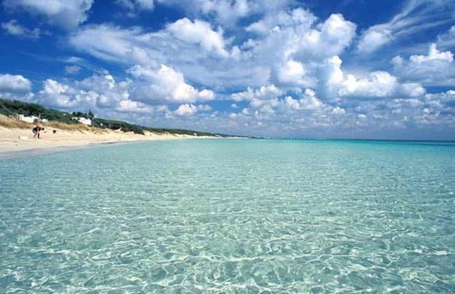 Torreblu Residence - Foto 51