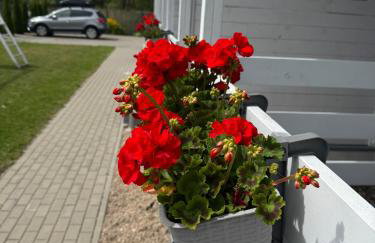 Domki Kapitana - Foto 37